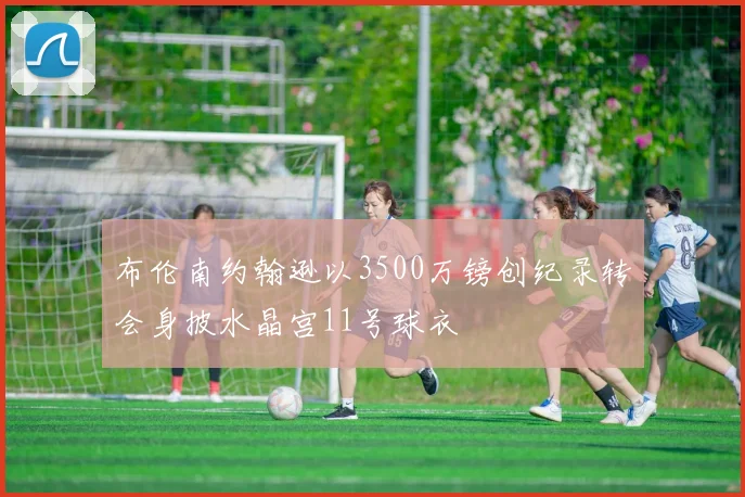 布伦南约翰逊以3500万镑创纪录转会身披水晶宫11号球衣