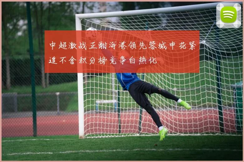 中超激战正酣海港领先蓉城申花紧追不舍积分榜竞争白热化