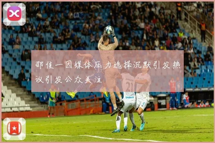 邵佳一因媒体压力选择沉默引发热议引发公众关注