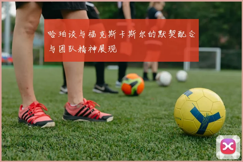 哈珀谈与福克斯卡斯尔的默契配合与团队精神展现