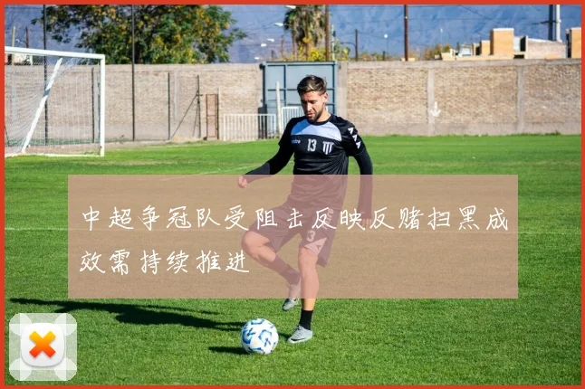 中超争冠队受阻击反映反赌扫黑成效需持续推进