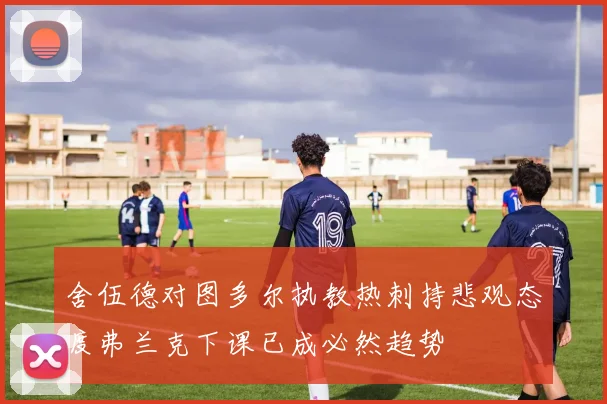 舍伍德对图多尔执教热刺持悲观态度弗兰克下课已成必然趋势