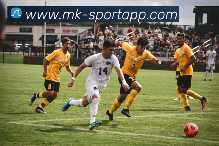 MK体育发展历程