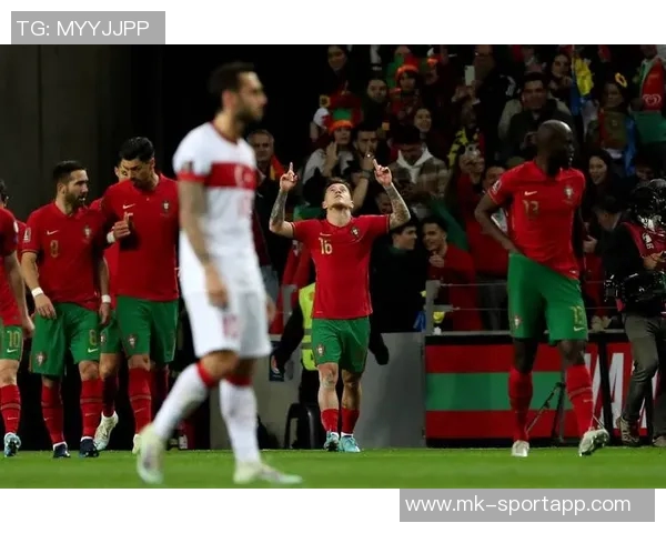 世界杯D组分析土耳其争夺晋级名额居莱尔与普利西奇对决